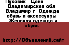 Пуховик › Цена ­ 2 000 - Владимирская обл., Владимир г. Одежда, обувь и аксессуары » Женская одежда и обувь   